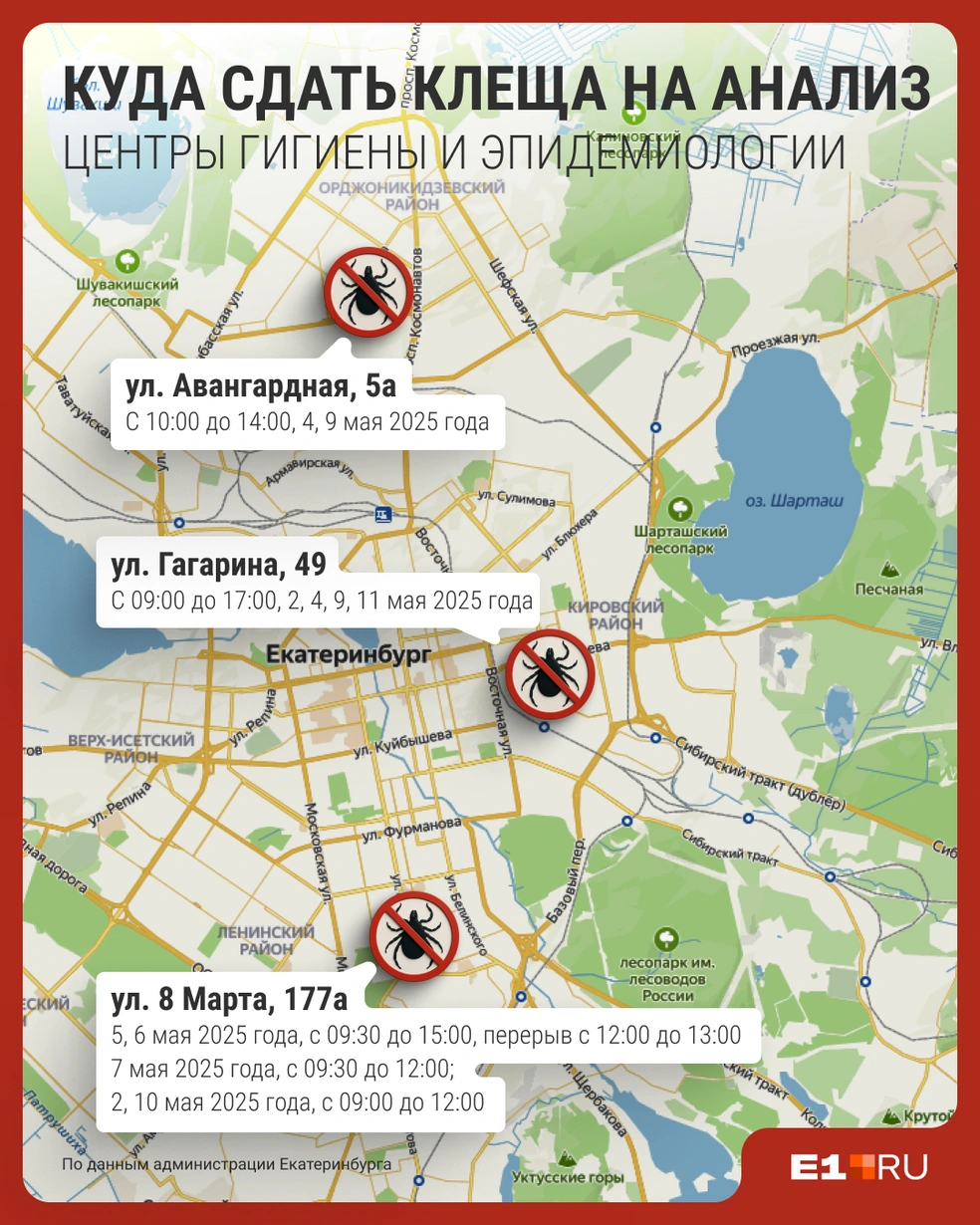 Поделитесь с близкими этой полезной информацией | Источник: Филипп Сапегин / Е1.RU