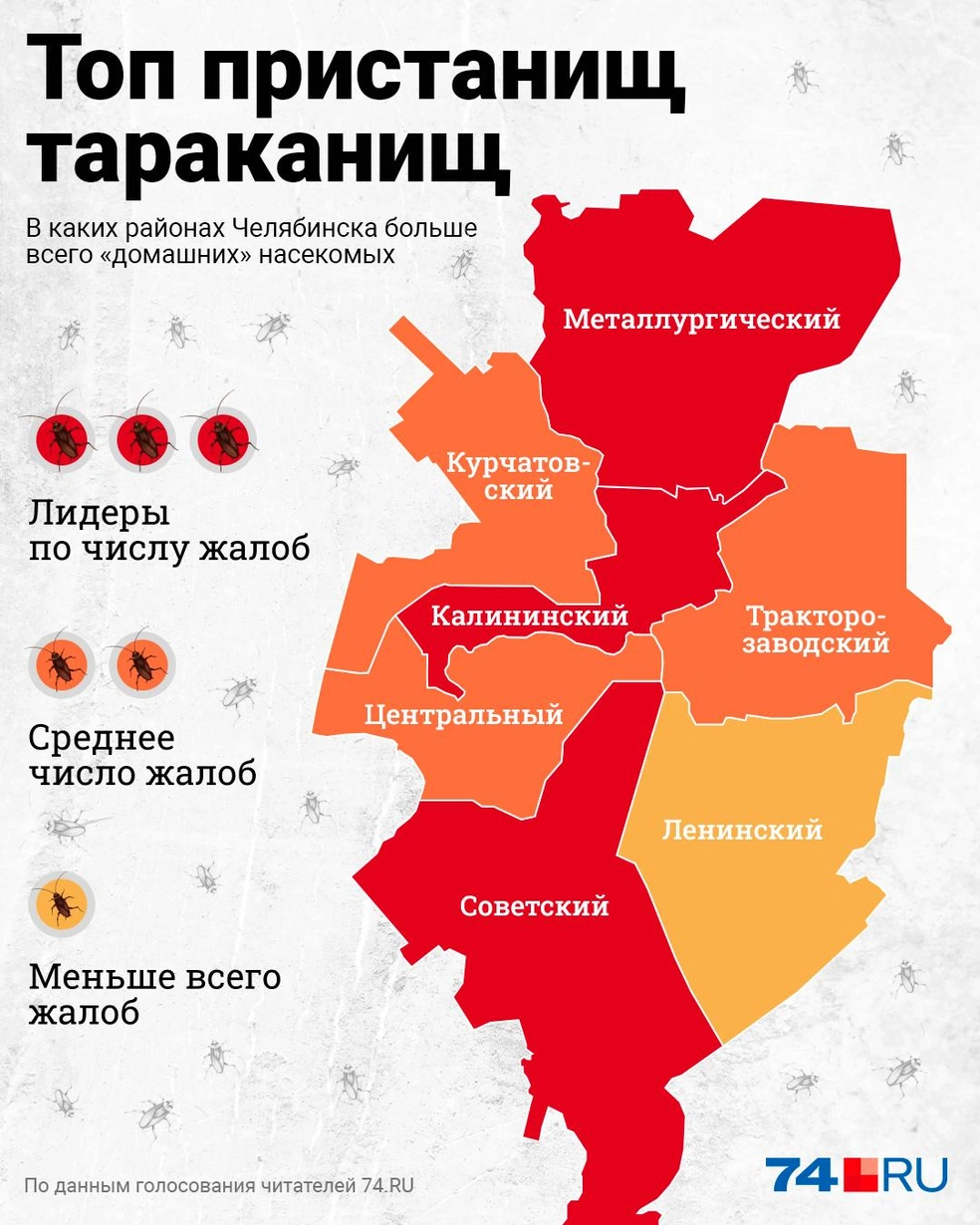 Где больше тараканов в Челябинске - 8 мая 2023 - 74.ру