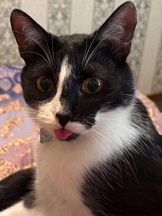 Но после чёрной полосы всегда наступает белая!  | Источник: читатель 63.RU 