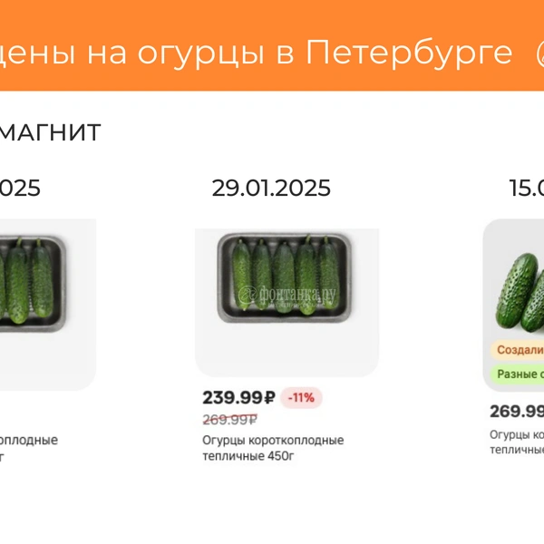 Источник: Светлана Григошина