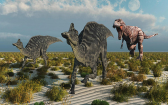 От собаки до автобуса: почему динозавры одного вида сильно отличались в размерах?