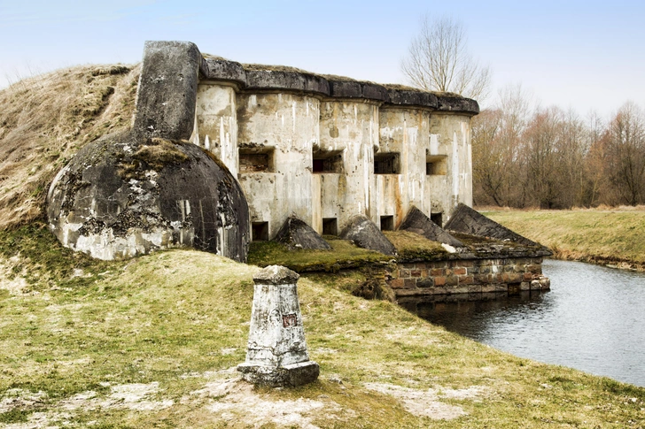 Источник: Andrei Rybachuk via Shutterstock/Fotodom.ru