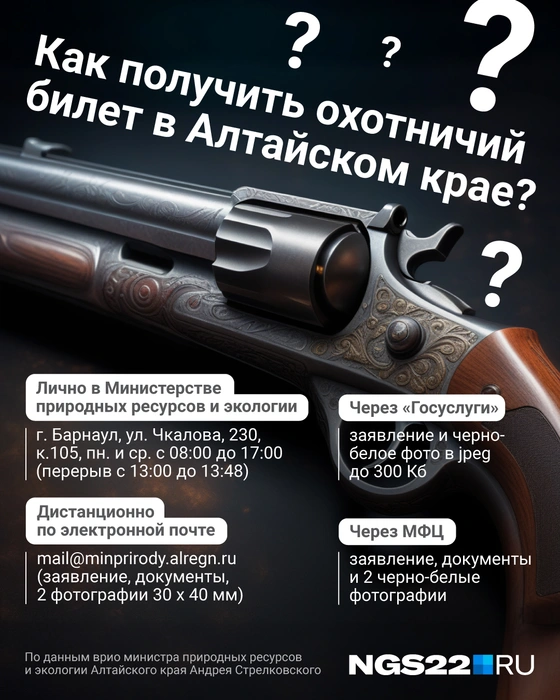 Источник: Полина Авдошина / Городские порталы