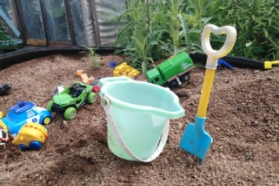 Срок за ипомею: как не нарушить закон на даче