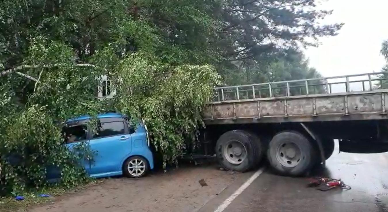 ДТП с двумя погибшими на трассе в Ангарске: обстоятельства и причины | 14  июля 2022 года - 14 июля 2022 - ИРСИТИ.ру