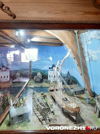 Источник: Ирина Булгакова / Voronezh1.ru