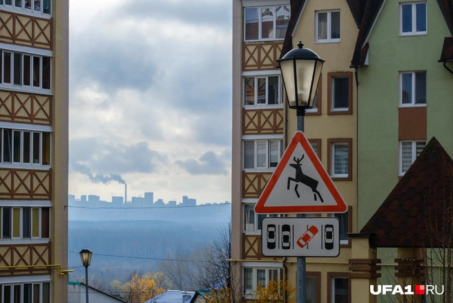«Оленям» тут не рады | Источник: Булат Салихов / UFA1.RU