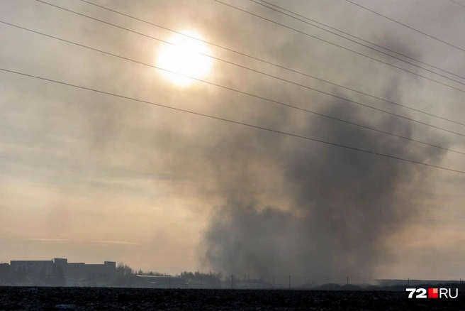 Над фабрикой дым. Там сжигают тушки больных кур | Источник: Ирина Шарова / 72.RU