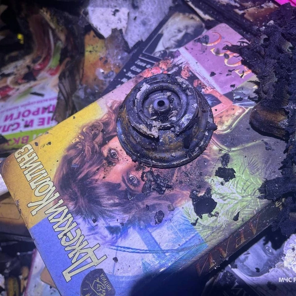 Источник: ГУ МЧС России по Волгоградской области 