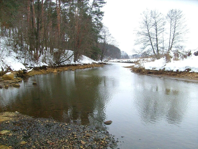 Вот так река Друдь выглядит в наши дни | Источник: Wikimedia.org, CastleMound