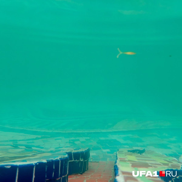 Источник: Булат Салихов / UFA1.RU