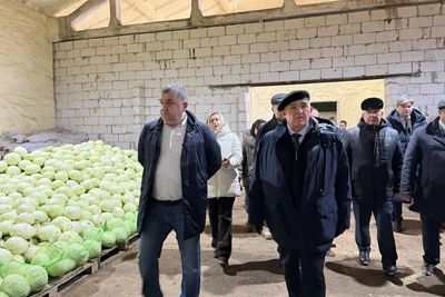 Ситников обсудил с фермером цены и логистику овощей