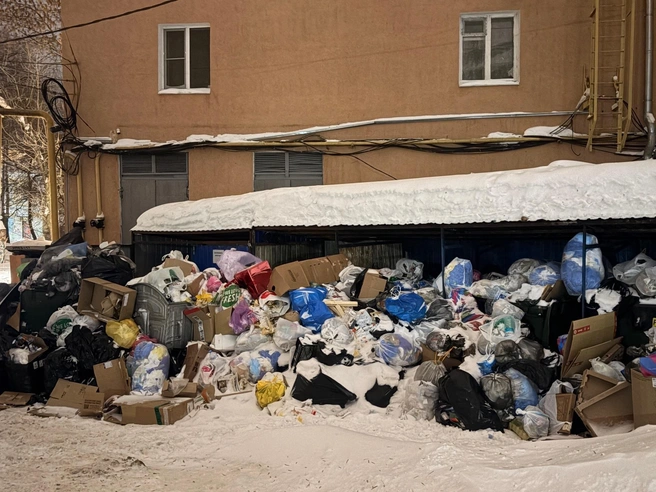 Свалка бытовых отходов возникла в самом центре Нижнего Новгорода. | Источник: Алексей Курнавин / Vk.om