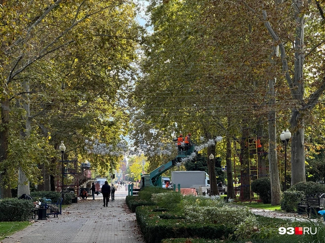 Украшение начали со звезд около «Динамо» | Источник: Дарья Паращенко / 93.RU