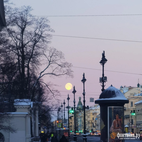 Источник: читатель «Фонтанки» Вова