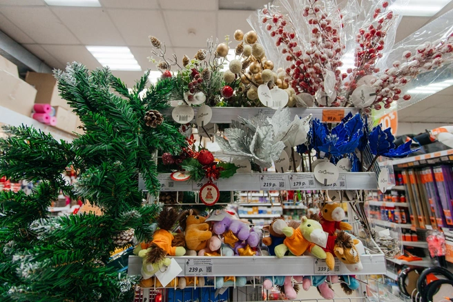 Источник: Ксения Зимина