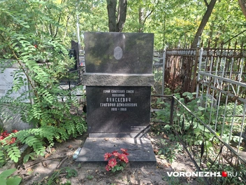 Источник: Алёна Воропаева / Voronezh1.ru
