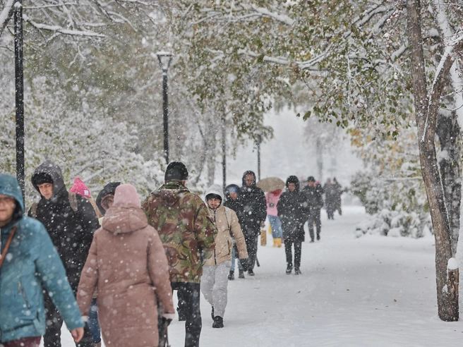 Снегопады начнутся сегодня и продлятся до середины следующей недели. | Источник: Александр Ощепков / NGS.RU