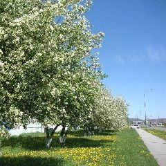 В Кузбассе 13-15 мая холодно и ветрено, возможен снег | 142.ru