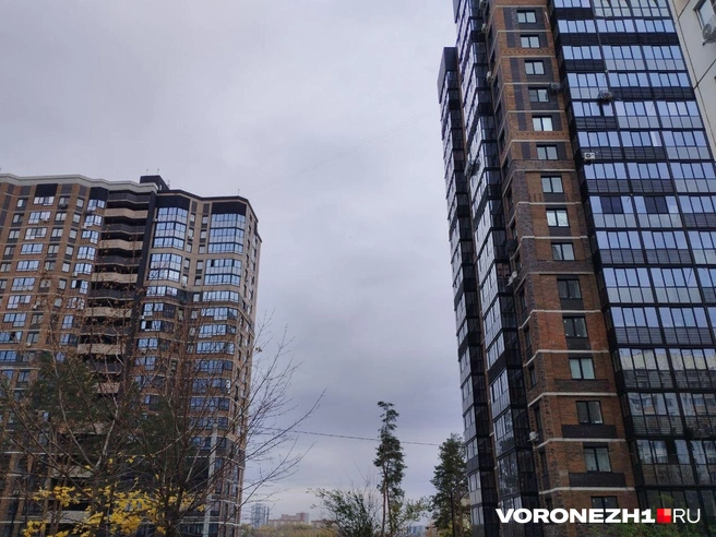 Источник: Дмитрий Волгин / Voronezh1.ru
