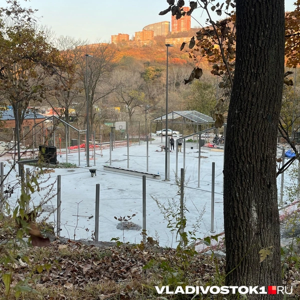 Источник: Елена Буйвол / VLADIVOSTOK1.RU