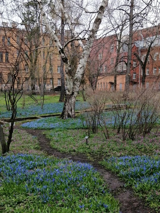 Источник: Инна Мармер