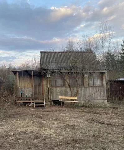 На заднем плане действительно виден лес | Источник: сайт объявлений