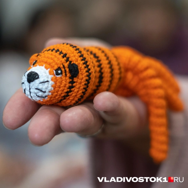 Источник: Елена Буйвол / VLADIVOSTOK1.RU