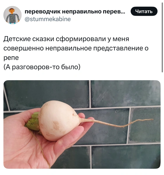 Источник: X (Twitter)