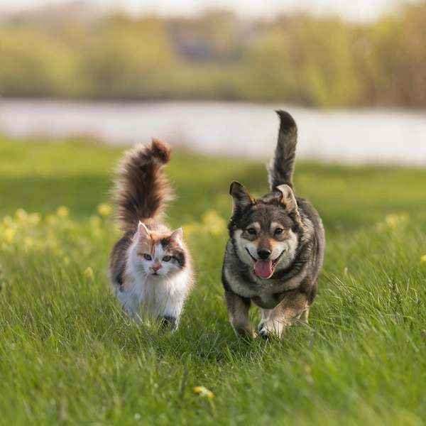 Источник: Shutterstock/Fotodom.ru
