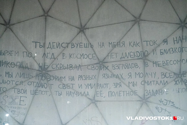 Источник: Елена Буйвол / VLADIVOSTOK1.RU