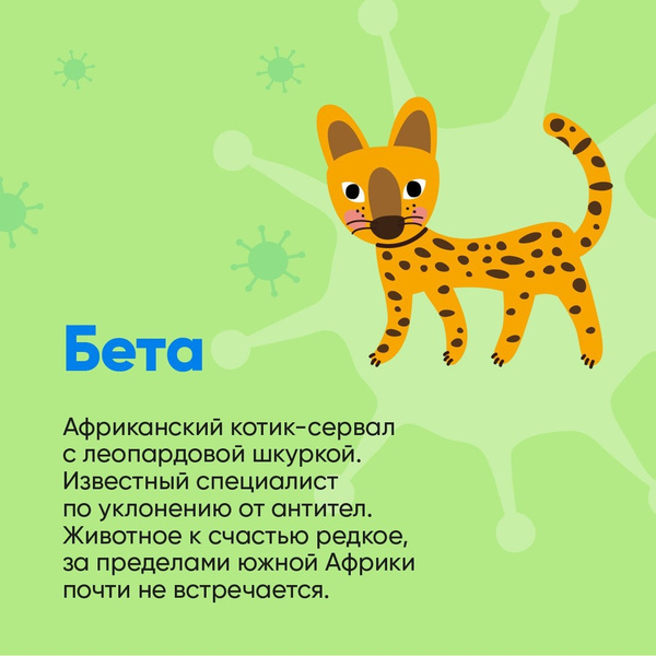 Биолог Баранова сравнила штаммы коронавируса с милыми котиками: как они выглядят