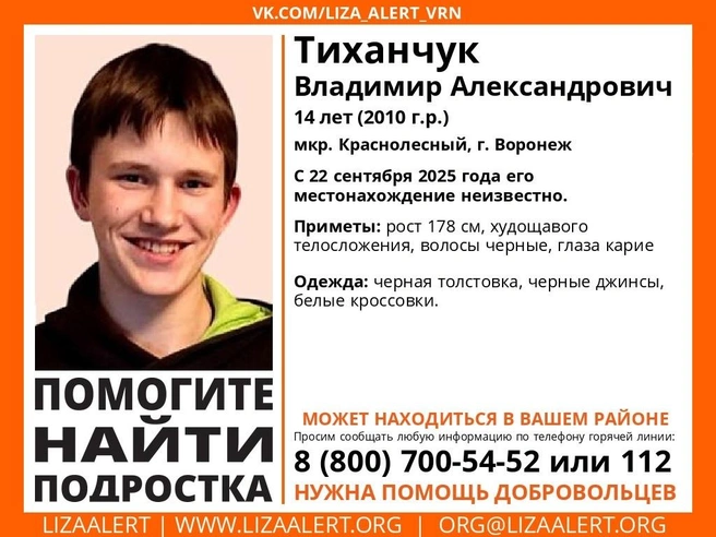 Источник: Поисковый отряд «ЛизаАлерт» Воронежская область / Vk.com