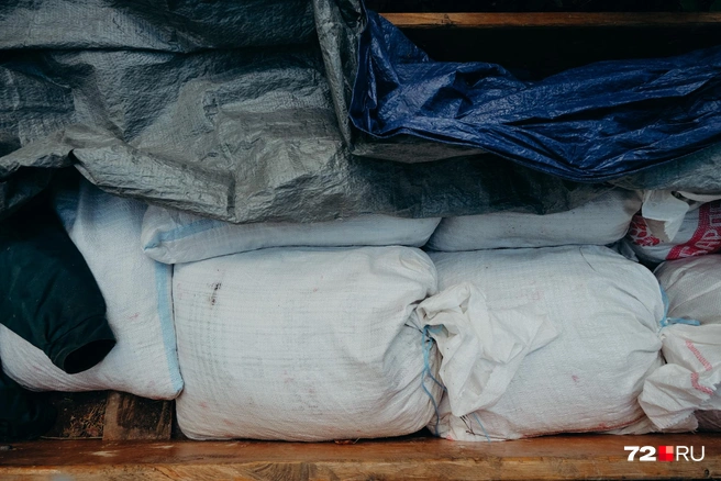 Некоторые складывают клюкву в мешки и везут в санях на буране | Источник: Анастасия Малышкина / 72.RU