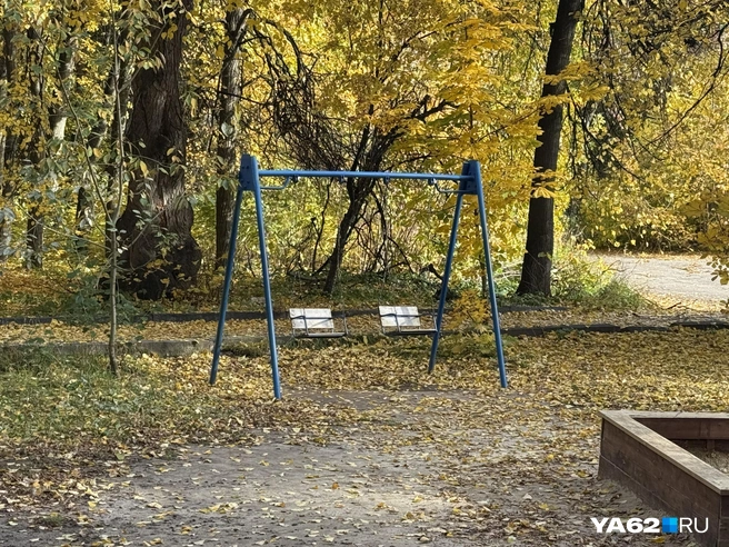 На качелях пока никого нет | Источник: Сергей Петунин / YA62.RU