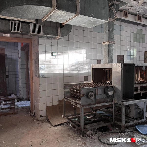 Источник: Алина Мельникова / MSK1.RU
