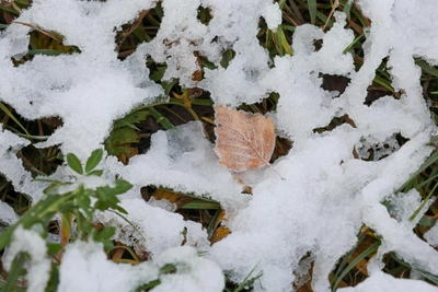 Когда в Москве выпадет снег и начнется гололед