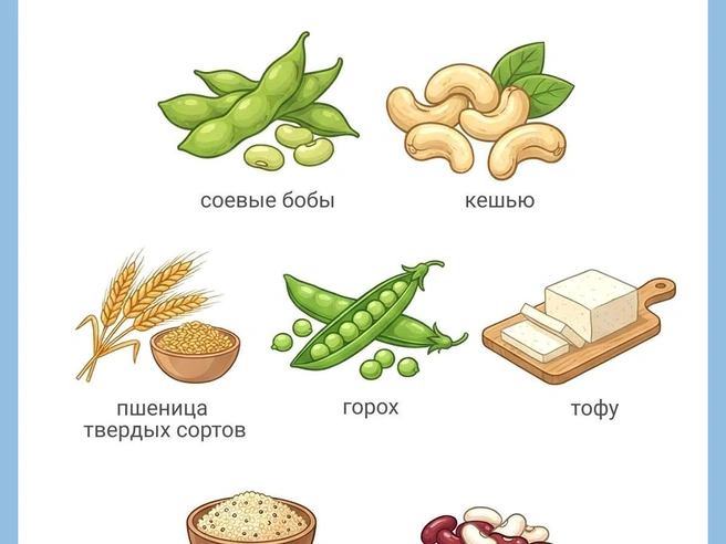 Такие продукты, как тофу и соевое молоко, обладают высокой усвояемостью. | Источник: Юрий Орлов / Городские медиа