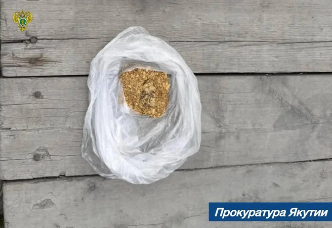 Так выглядит пакетик с золотом | Источник: Прокуратура Якутии / t.me