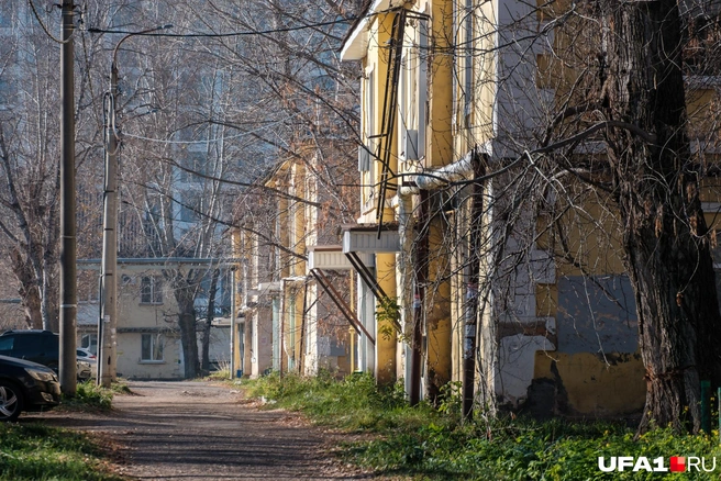 Ровными рядами стоят, пока еще | Источник: Булат Салихов / UFA1.RU