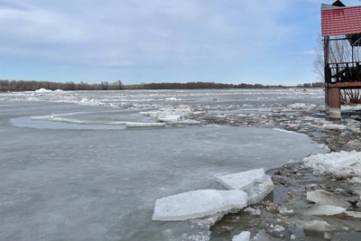 Лед пошёл: на Дону у Волгограда начался активный ледоход