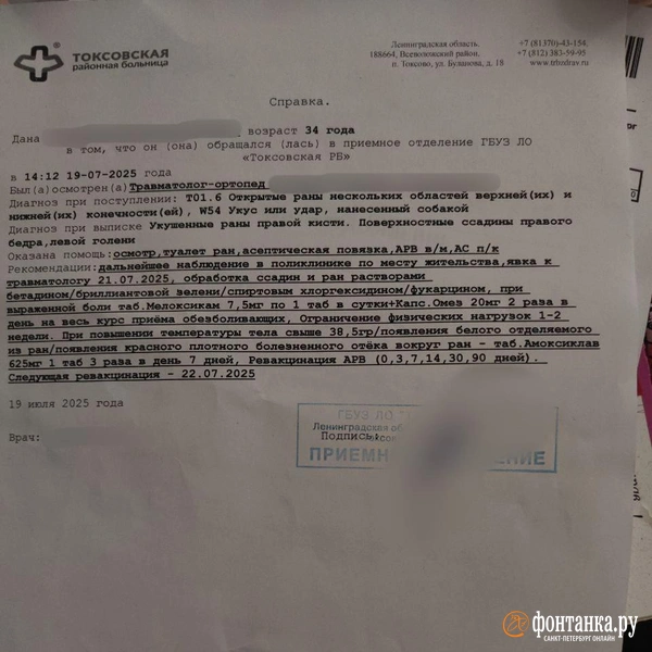 Источник: читательница «Фонтанки»
