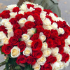userpic__Полина