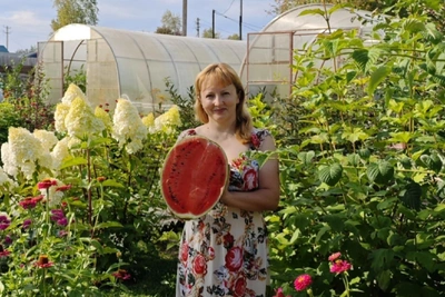 Watermelons Tastier Than Southern Ones