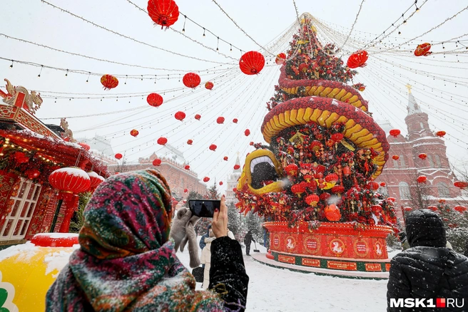 Но все-таки в метель нет ничего лучше пухового платка! | Источник: Артем Устюжанин / MSK1.RU