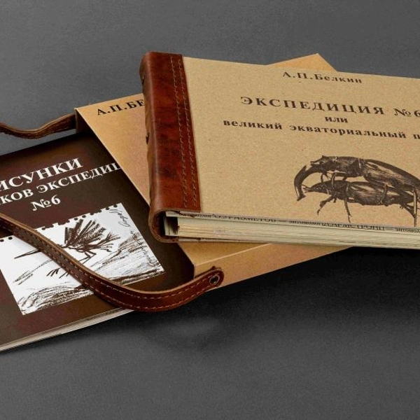 Источник: предоставлено организаторами