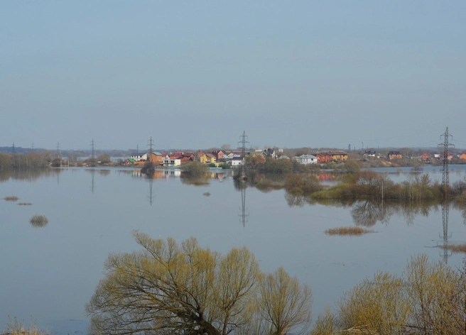 В Рязанской области завершилось весеннее половодье | ya62.ru