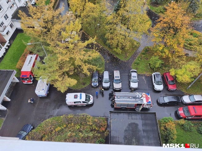 Два человека погибли при пожаре в квартире в Олимпийской деревне | Источник: свидетельница пожара — для MSK1.RU