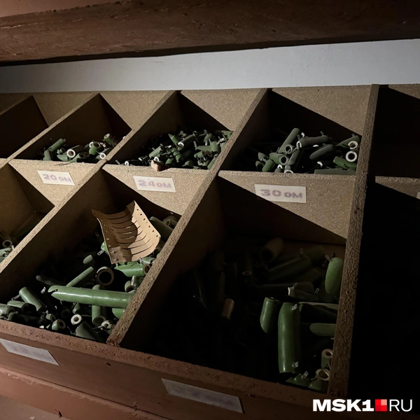 Источник: Алина Мельникова / MSK1.RU