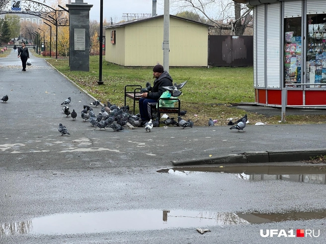 Потом эти голуби просто осадили мужика | Источник: Андрей Бирюков / UFA1.RU
